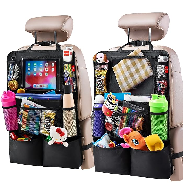Back seat organizer
