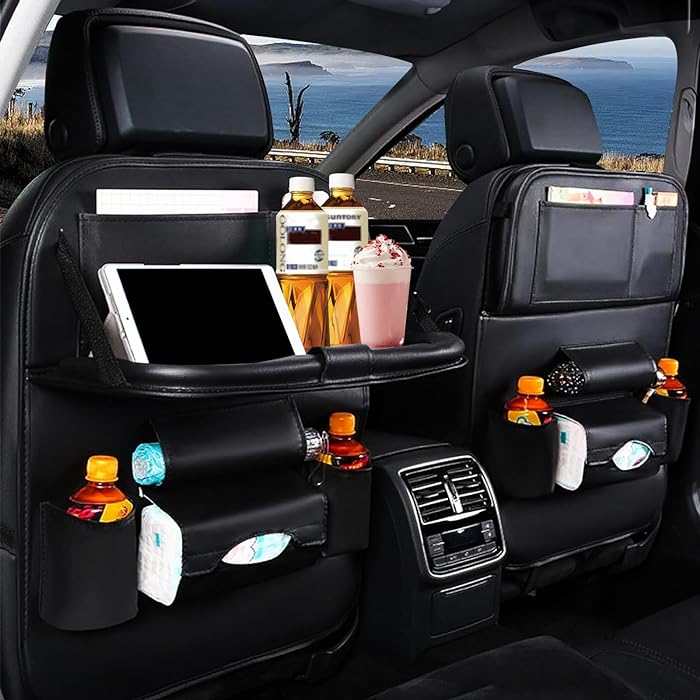 Back seat organizer