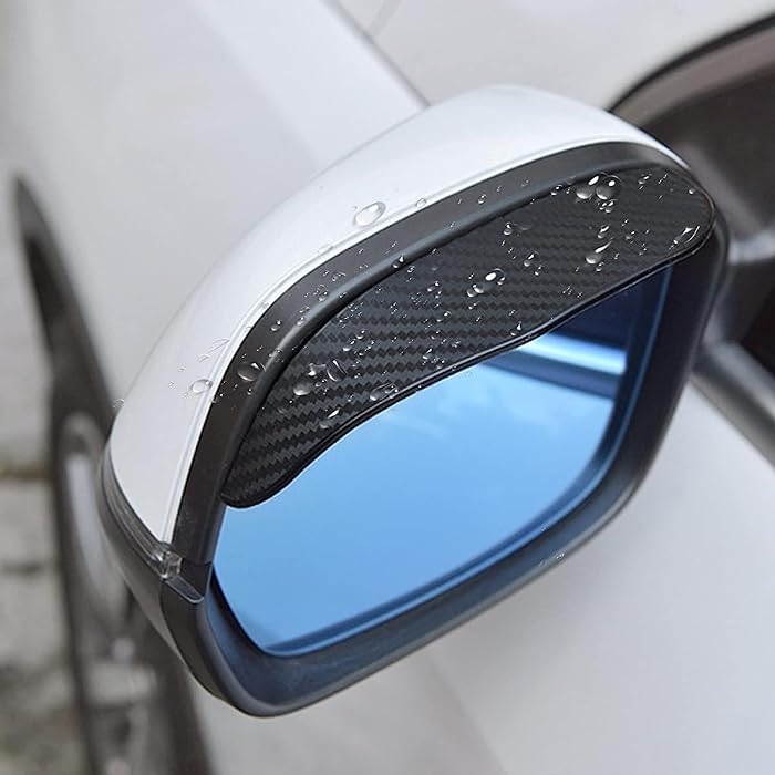 Visor Guard